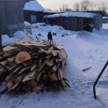 Партийцы приняли участие в доставке дров семьям мобилизованных села Дружба