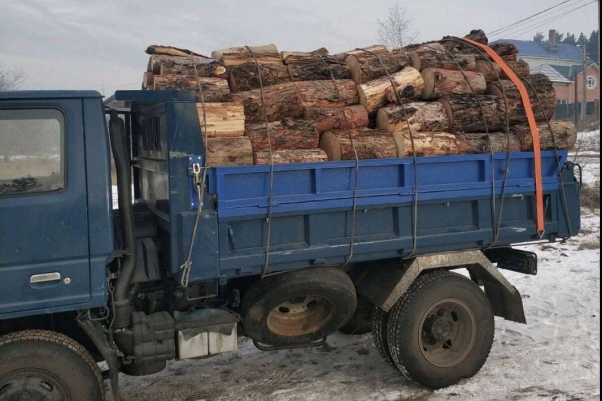 В Забайкальском крае помогают семьям участников СВО в приобретении дров |  22.12.2022 | Чита - БезФормата