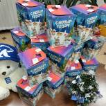 Единороссы Моркинского района приготовили для детей сладкие подарки