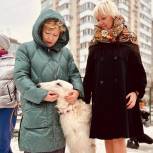 Долгожданная площадка для выгула собак появилась в Ленинском районе Самары