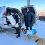 В Магаданской области «Единая Россия» передала приюту корм для животных