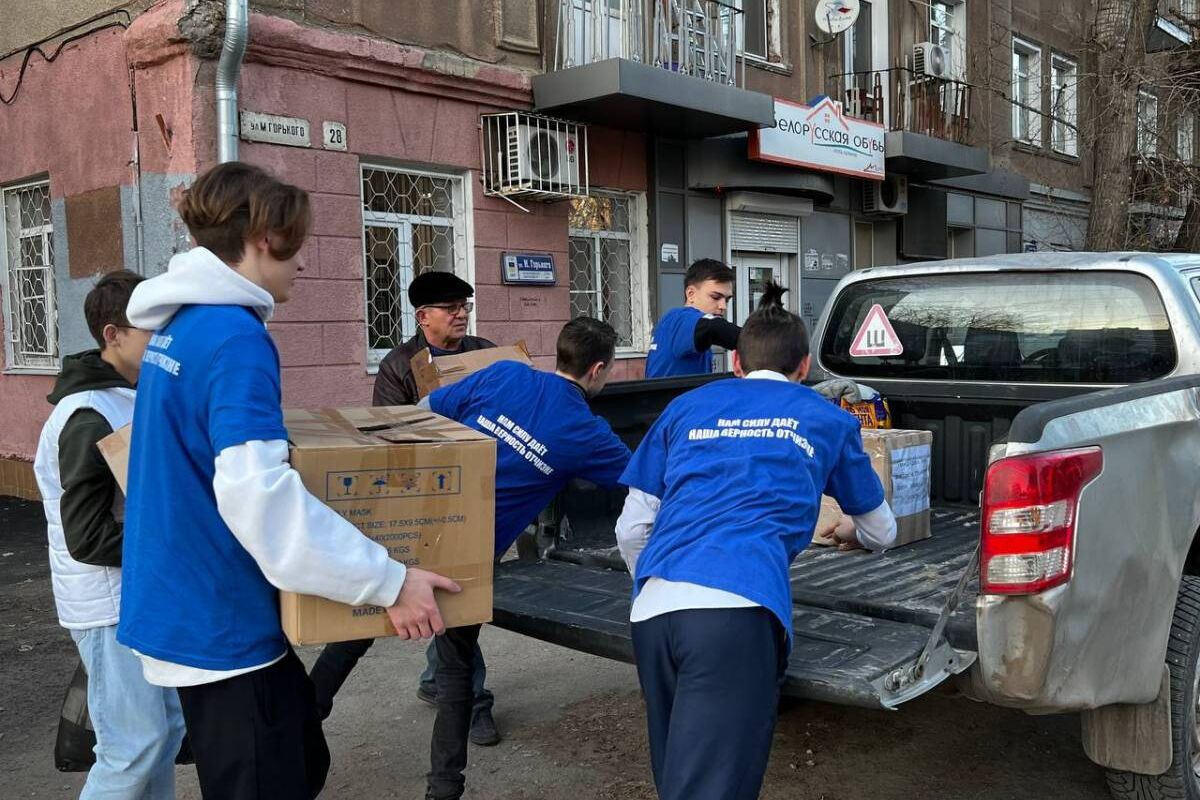 Что нужно знать, прежде чем взять собаку с улицы или приюта - РКФ