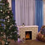 Луховицкий единоросс подарил системе культуры «Семицвет» новогоднюю елку с украшениями