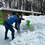 Волонтёры «Единой России» провели субботник на территории орнитария парка «Сокольники»