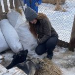 В Иркутской области единороссы передали корм и медикаменты в приют для животных