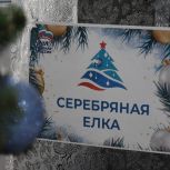 Депутаты «Единой России» приняли участие в акции «Серебряная елка»