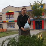 По инициативе депутата ЗСК Светланы Ангальт в Краснодаре высадят ели