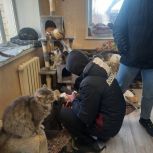 В Оренбурге активисты «Единой России» передали корм и лекарства в зооприют