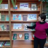 Урок Конституции для школьников Ульяновского района