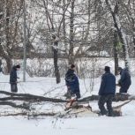 Котельничские партийцы и сторонники благоустраивают город