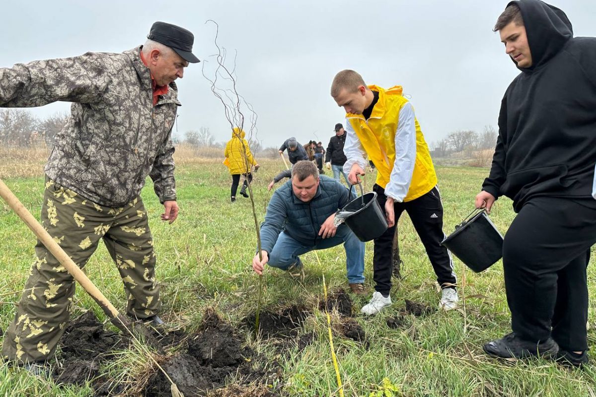 По партпроекту «Чистая страна» в Новоалександровском округе Ставропольского края заложили сквер