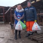 В Ульяновске «Единая Россия» передала корма в пункт передержки животных