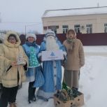 В Липецкой области продолжается акция «Серебряная елка»
