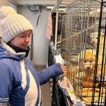 В ЯНАО активисты «Единой России» оказали помощь приюту для животных