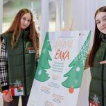 Сергей Собянин: В Москве вновь проходит благотворительная акция «Добрая елка»