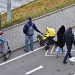 «Золотой стандарт» поддержки многодетных семей и создание условий для улучшения демографии: «Единая Россия» представила инициативы по развитию семейной политики