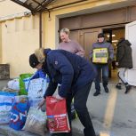 Петербургские сторонники «Единой России» помогли приюту для бездомных животных в Донецкой Народной Республике