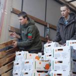 МЧС Абхазии доставит 110 тонн гуманитарного груза в новые регионы