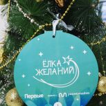 «Ёлка желаний» в Башкортостане исполняет детские мечты в городах и районах республики