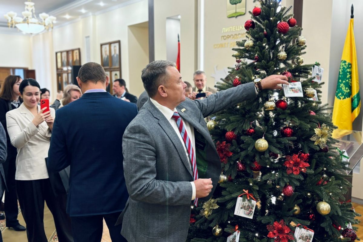 Депутаты-единороссы присоединились к акции «Елка желаний»