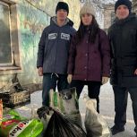 «Единая Россия» передала корм в приют для животных в Красноярске