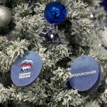 В Костроме дан старт акции «Елка желаний»