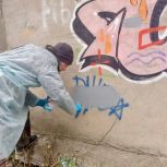 Молодёжка партии борется с рекламой наркотиков в Курске