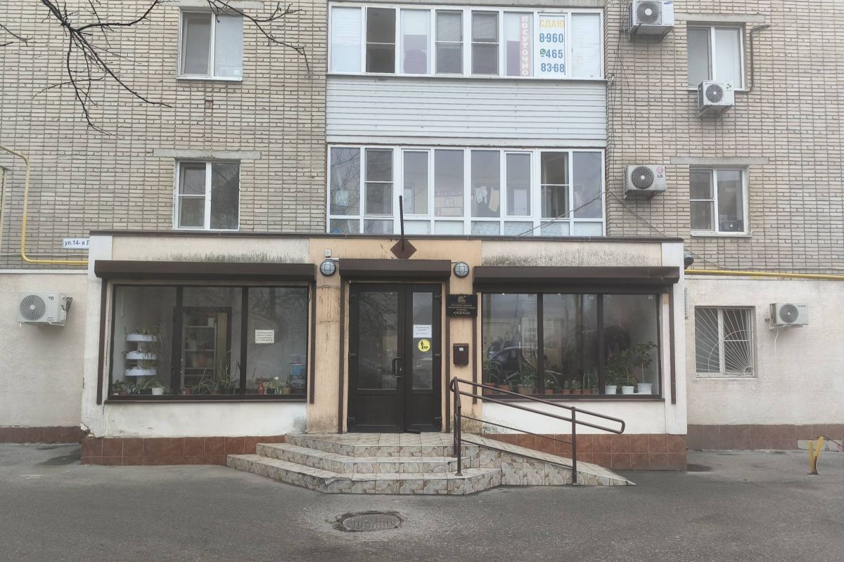 Помощь инвалидам и детям, решение бытовых и юридических вопросов: День волонтёра «Единая Россия» отметила добрыми делами