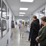 В Международный день инвалидов в Штабе общественной поддержки «Единой России» в РТ открылись выставки