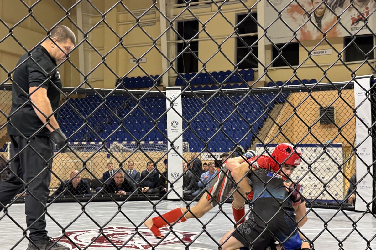 При поддержке депутатов «Единой России» состоялся турнир по смешанному боевому единоборству