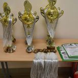 При содействии «Единой России» в селе Шатрово Курганской области состоялся семейный шахматный турнир