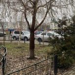 В Центральном районе Воронежа активисты первичного отделения «Единой России» провели работы по благоустройству и озеленению
