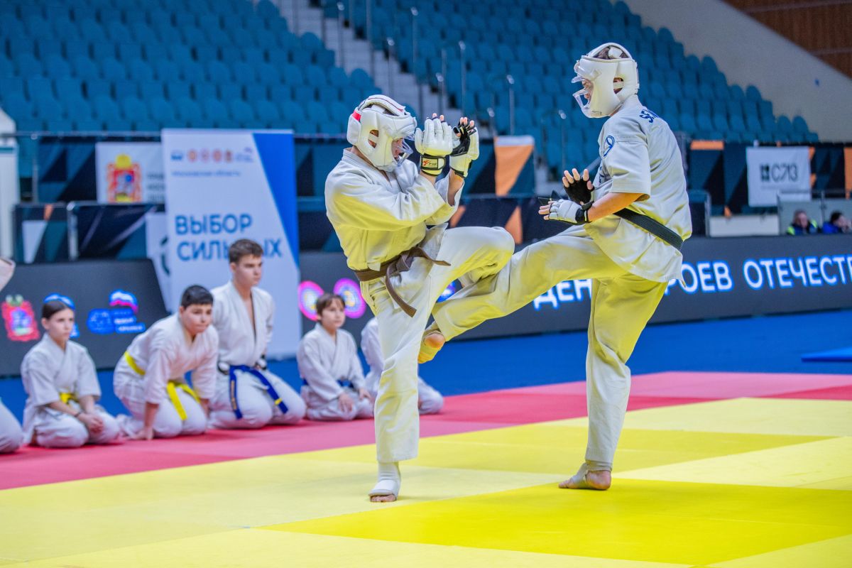 Фестиваль единоборств в Одинцово собрал около 1,5 тысячи гостей