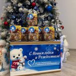 Новогодние посылки от «Единой России» уже доставлены в Перевальск