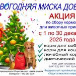 Акция «Новогодняя миска добра»