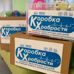 В Подмосковье подвели итоги благотворительной акции «Коробка храбрости»