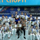 При поддержке «Единой России» в Зеленокумске прошёл турнир по дзюдо