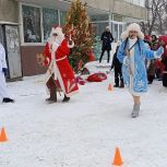 Новогодние огни зажглись на елках по всей области