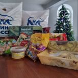 Амурских ветеранов Великой Отечественной войны поздравят с Новым годом