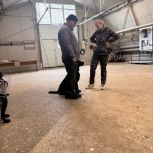 Благодаря партийцам, в Железногорске появилась собака-поводырь