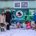 «Единая Россия» и МГЕР передали корма в приют для бездомных животных в Орле