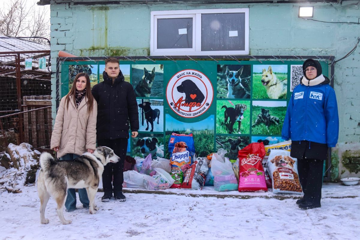 «Единая Россия» и МГЕР передали корма в приют для бездомных животных в Орле