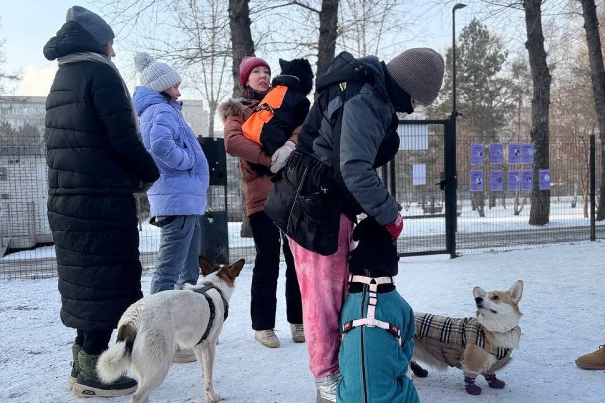 Активисты партийного проекта «Защита животного мира» провели праздник для домашних животных