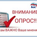 В Псковской области стартует федеральный опрос "Выбирай своё"