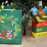 Велосипед, батут, «умная» колонка и аквариум: «Единая Россия» исполняет новогодние мечты детей в регионах