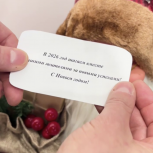 С Новым годом жителей поздравил единоросс Евгений Маслов