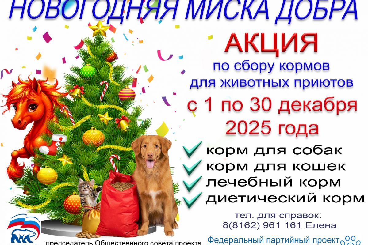 Акция «Новогодняя миска добра»