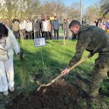 Во дворе школы №41 открыли «Аллею Памяти» в рамках партпроекта «Историческая память»