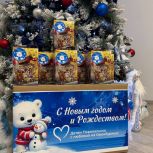 Сладкие подарки, развлекательные программы, билеты на представления: «Единая Россия» поздравила с наступающим Новым годом жителей регионов