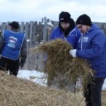 Помощь приюту для животных оказали иркутские активисты «Единой России» и молодогвардейцы